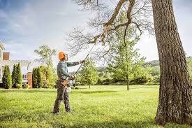 Best Lot and Land Clearing  in Holiday Heights, NJ