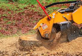 Best Lawn Irrigation Installation and Maintenance  in Holiday Heights, NJ